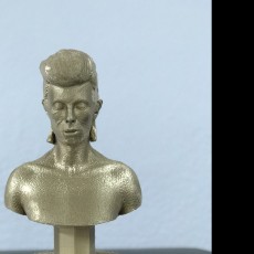 Picture of print of David Bowie Bust This print has been uploaded by Entresd