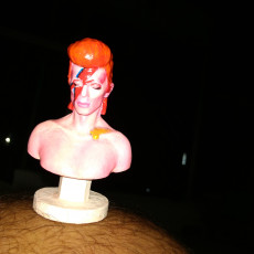 Picture of print of David Bowie Bust