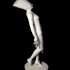 Nefertiti-with-body image