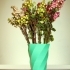 Green vase image