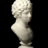 Head of a Youth at The State Hermitage Museum, St Petersburg image