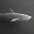 Shark image