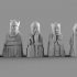 The Lewis Chessmen at The National Museum of Scotland image