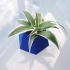 Geometric planter image
