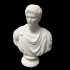 Bust of Augustus at The State Hermitage Museum, St Petersburg image