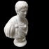 Bust of Augustus at The State Hermitage Museum, St Petersburg image