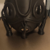 San's Mask, Princess Mononoke Cosplay print image