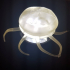 Jellyfish print image
