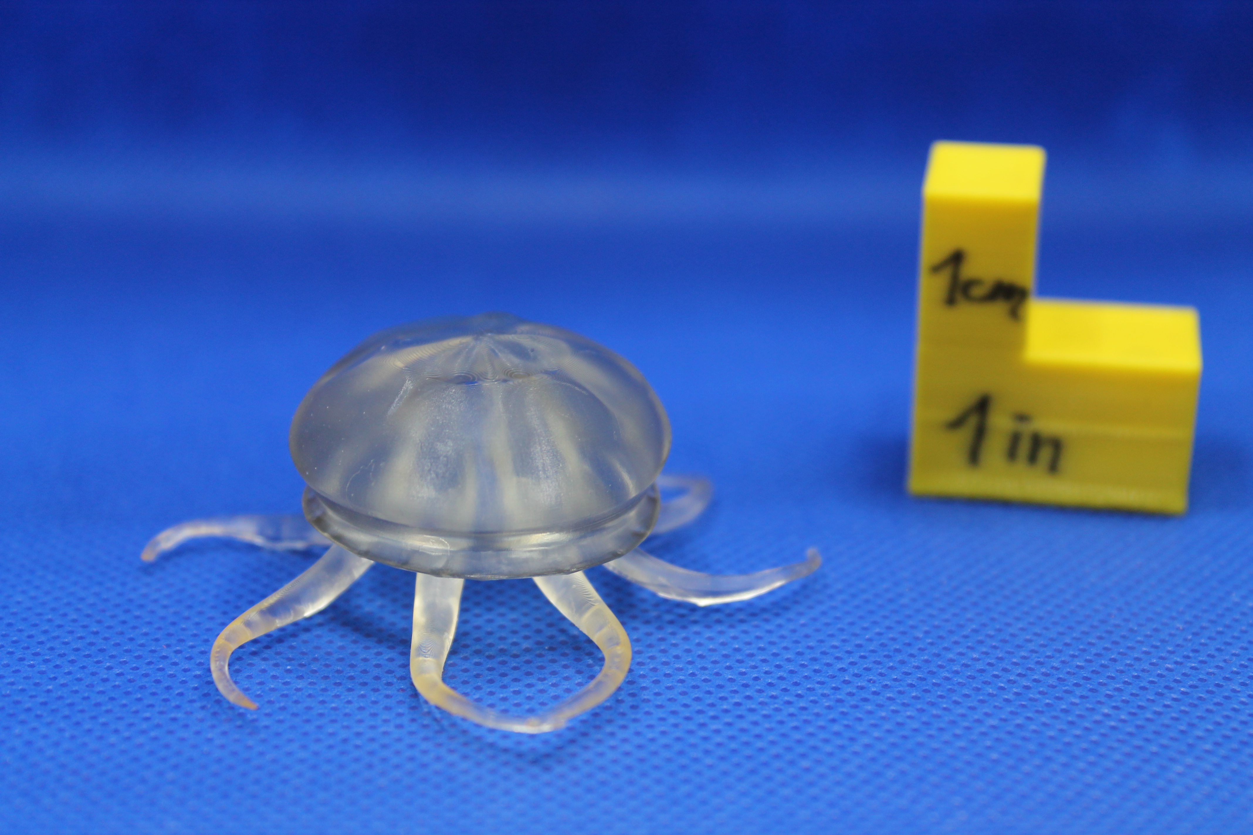 3D Printable Jellyfish by NGUYEN Julien