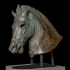 The Medici Riccardi Horse at The Museo Archeologico Nazionale, Florence image