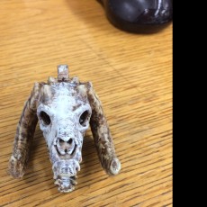 Picture of print of 'Sleeping Bag' Mini Skull Charm, by 3DKitbash