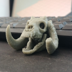 Picture of print of 'Sleeping Bag' Mini Skull Charm, by 3DKitbash