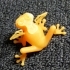 Frog with wings image