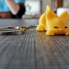 Picture of print of Keychain / Smartphone Stand