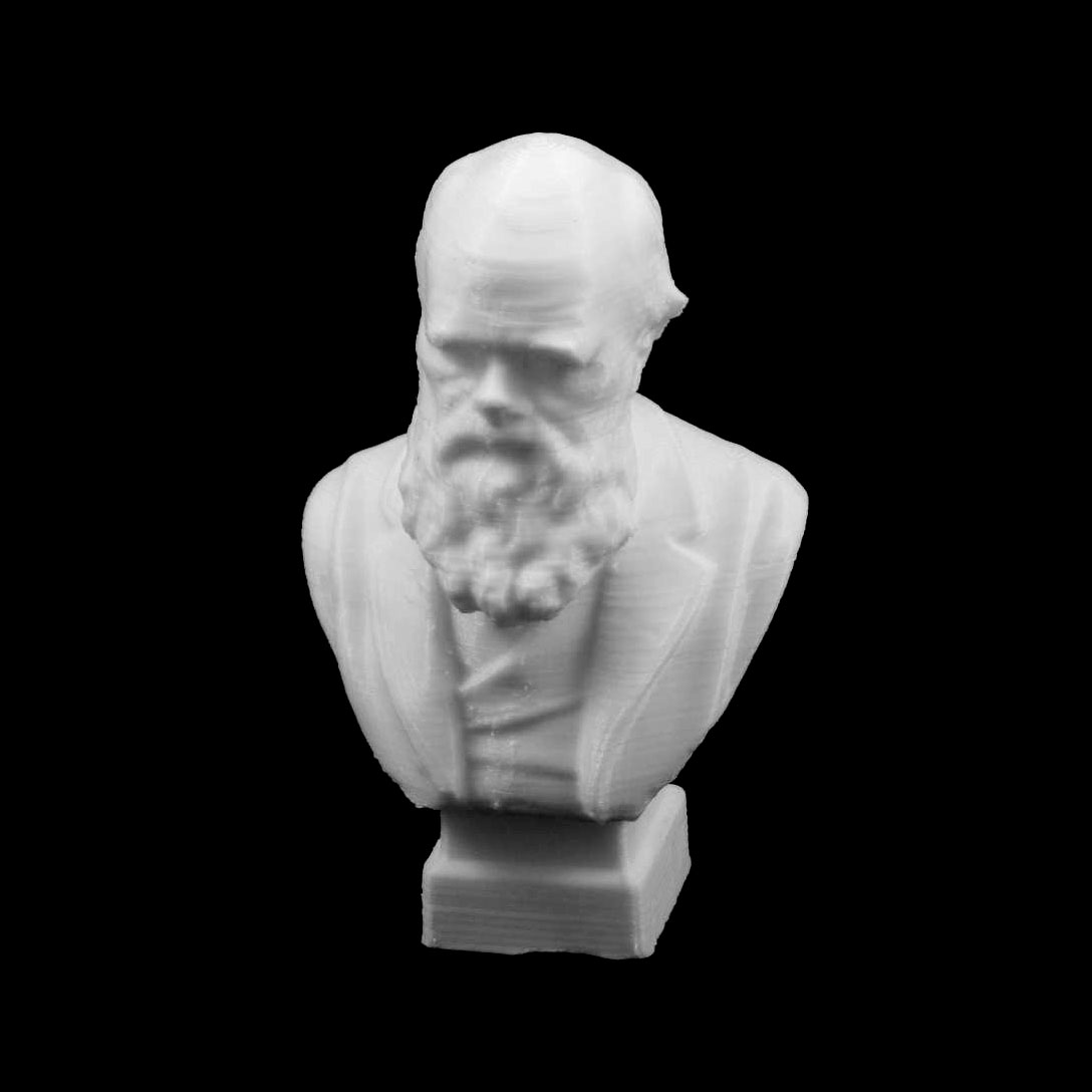 Bust of Charles Darwin at The MAAS, Sydney