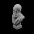 Bust of Charles Darwin at The MAAS, Sydney image