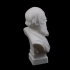 Bust of Charles Darwin at The MAAS, Sydney image