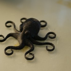 Picture of print of Octopus Magnet