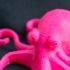 Octopus Magnet image