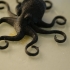 Octopus Magnet print image