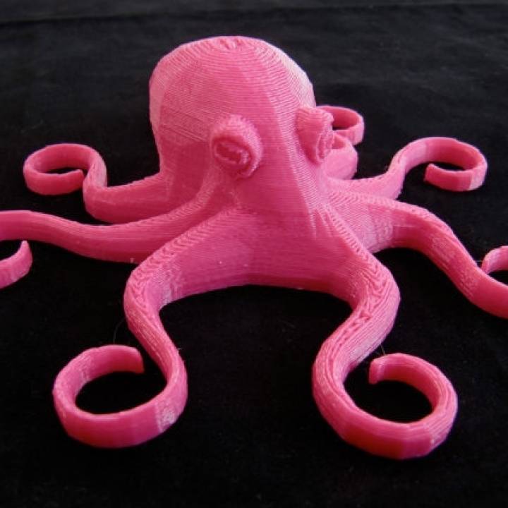 3D Printable Octopus by 3D Central