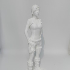 Picture of print of Tomb Raider 3d model