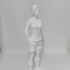 Tomb Raider 3d model print image