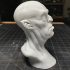 The Ghoul bust print image