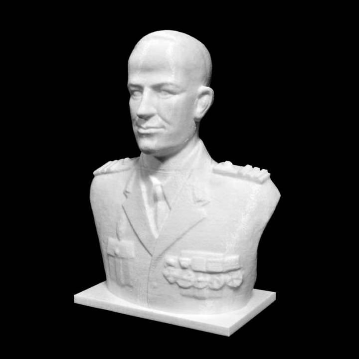 3D Printable Bust of Nicolae I Dascalescu in Cluj, Romania by Alban Pllana