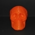 Halloween Skull Toy image