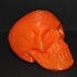 Halloween Skull Toy image