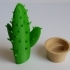 Cactus in a pot image