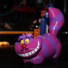 Picture of print of Cheshire Cat 2-piece