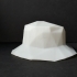 Low poly fisher hat image