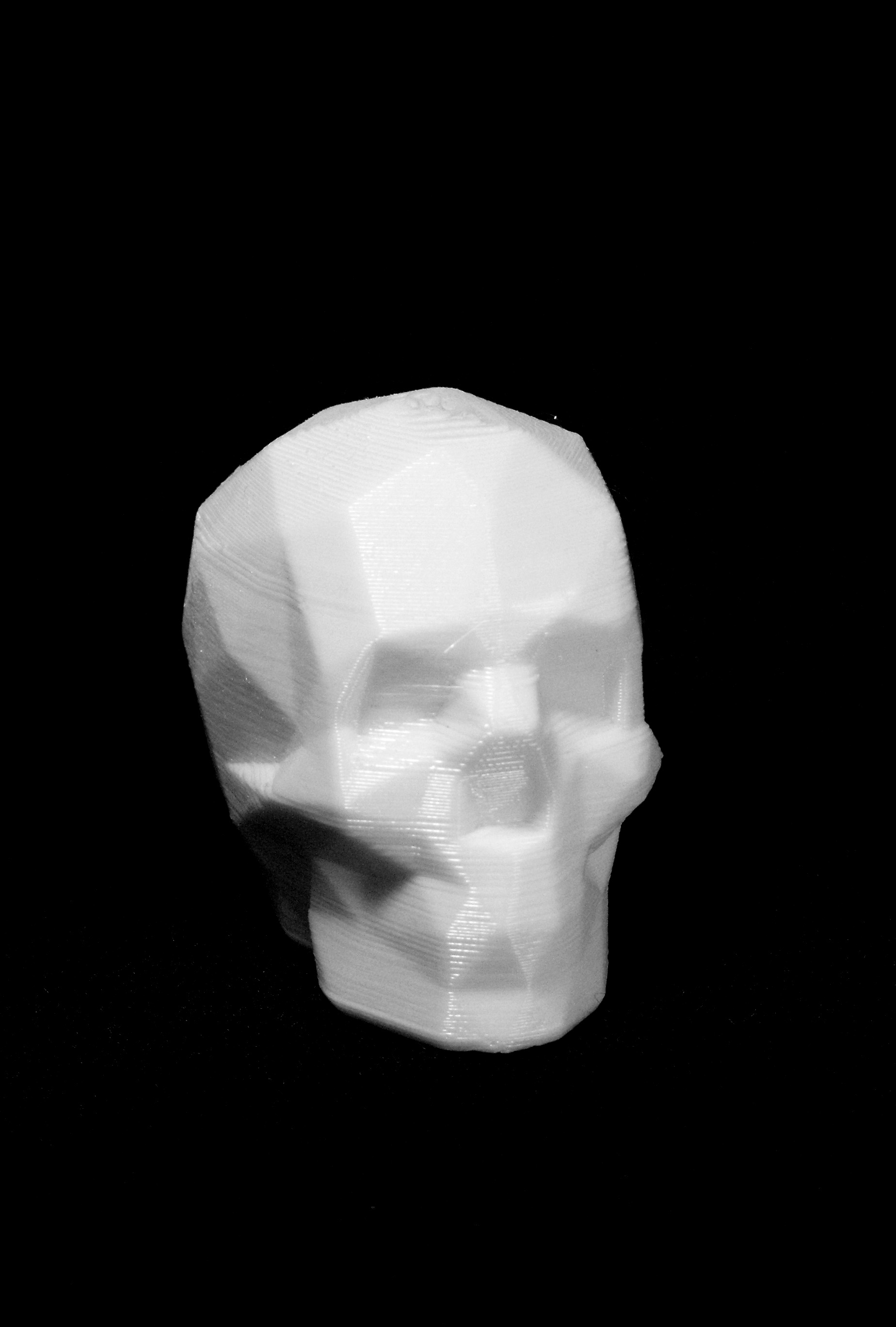Low Poly Skull (1)