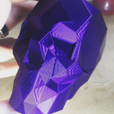 Picture of print of Low Poly Skull