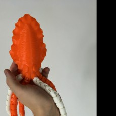 Picture of print of Articulated Cuttlefish! Ball-joint articulated octopus Remix!
