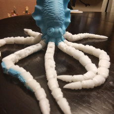 Picture of print of Articulated Cuttlefish! Ball-joint articulated octopus Remix!
