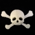 Jolly Roger Pendant (Glows-In-The-Dark) image