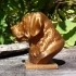 Labrador Bust image
