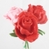 Roses image