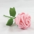 Roses image