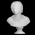 Bust of a Young Man, possibly Arminius Puskin at The Faculty of Classics, Cambridge image