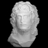 Head of a Barbarian Leader at The Faculty of Classics, Cambridge image