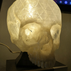 Picture of print of Awesome Skull Lamp!