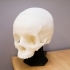 Awesome Skull Lamp! image