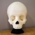 Awesome Skull Lamp! image