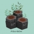 Self Watering Studio Plant Pot -- Project Aqua image