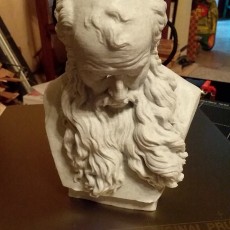 Picture of print of Head of a Bearded Old Man