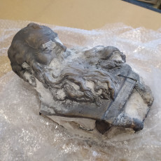 Picture of print of Head of a Bearded Old Man This print has been uploaded by FutLab Makerspace